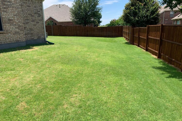 Common Type of Wooden Fence Problems and Solutions