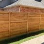 Why Contractor Choose Cedar For Wood Fencing In North Texas